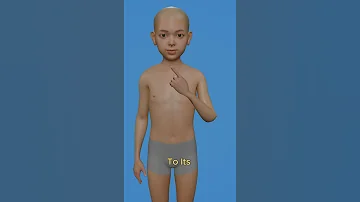 Can Humans Regrow Body Parts 3danimation 