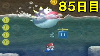 今日勝てる確率45％ 死んだら即終了Wiiマリオブラザーズ　８５日目　2025/08/16