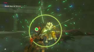 The rarest Lynel drop I’ve ever gotten….
