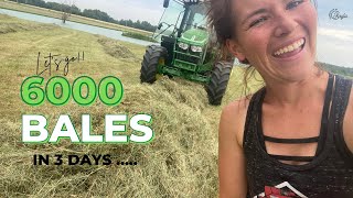 Massey Ferguson 1840 Cranking out 6000 bales in 3 days = FULL barn | #hayseason #balinghay