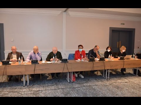 ომბუდსმენის მიერ შექმნილი ექსპერტთა ჯგუფის დასკვნა - ექიმების ბრიფინგი