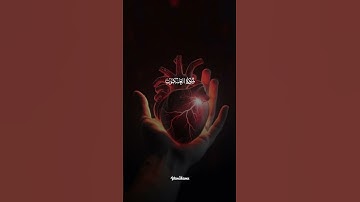 ياعبادي الذين آمنوا. سورة العنكبوت #اكسبلور