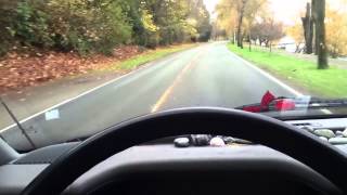 1993 Eurovan MV [late] Thanksgiving Adventure!