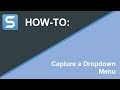How to Capture a Dropdown Menu with Snagit
