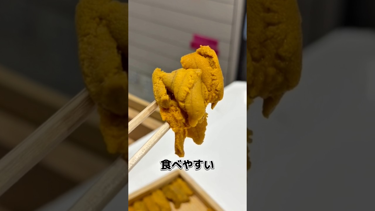 島根県浜田港で!ムラサキウニをいただきます!5/15投稿 #せり人ムタロー #料理 #海鮮好き #sashimi #shorts