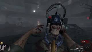 Waffen der Schönheit Weapons Mod (Black Ops 1 Zombies)