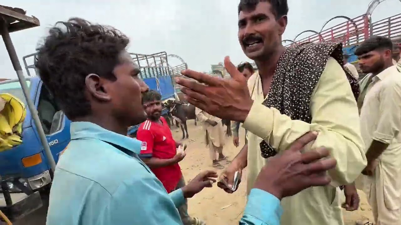 Anjum Saroya ne apny vahry mandi vechy ty ap new wacha leya | Mandi Mamu Kanjan 