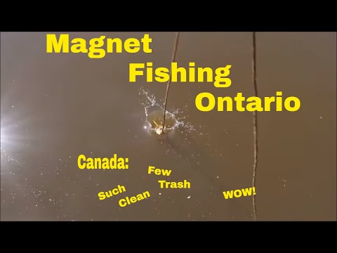 Video: Nattehimmelen Over Ontario Ble Belyst Av Flerfargede Lyspoler - Alternativ Visning