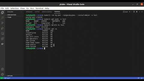 Create and delete pods and namespaces.
