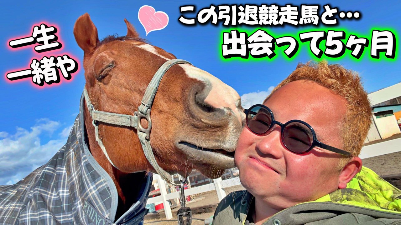 1頭の引退競走馬と出会って5ヶ月でここまで仲良くなれました【ツルマルボーイ様のシモベ】