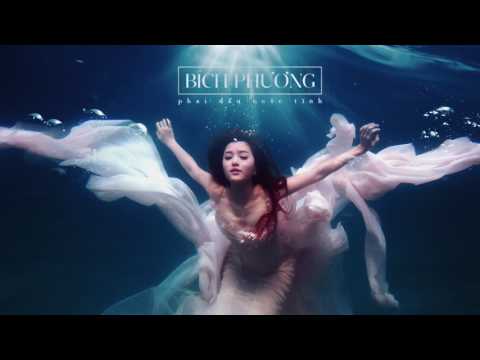 BÍCH PHƯƠNG   Phai dấu cuộc tình  Audio Hay