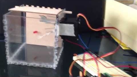 INFO 4320 Jack-in-the-box