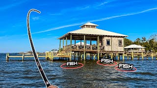 THIS is Why You Fish DOCKS ** EVERYTHING EATS THIS **