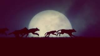 Live Your Life - 2Nd Mgt John Mcafee Global Technologies Ad Video By Judd Weiss