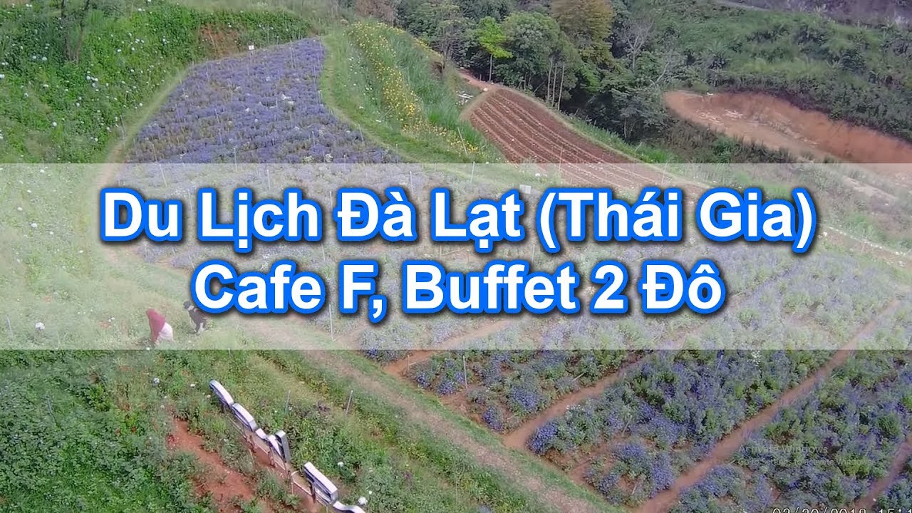 Du Lịch Đà Lạt (Thái Gia) - Tập 3 - Cafe K, Buffet 2 Đô - YouTube