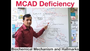 Medium Chain Acyl CoA Dehydrogenase (MCAD) Deficiency