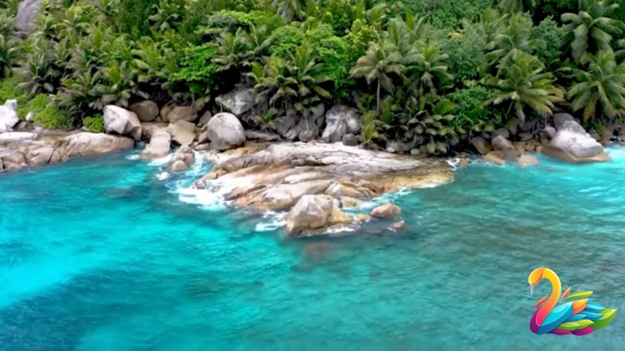 Relaxing Coastline Scenery | Ocean & Sea | Focus Music | Concentration Music | Relax Music