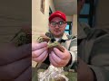 Астана Омарова 10