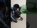 Don in the house #youtubeshorts #instagram #shorts #funy