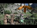On a Storm of Beasts: Hang onto a bear for more than 10 seconds – Challenge | Crimson Desert PS5