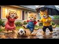 Ginger Kitten Passionately Loves Soccer...Mama Cat Secretly Builds a Hidden Football Field
