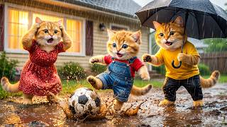 Ginger Kitten Passionately Loves Soccer...Mama Cat Secretly Builds a Hidden Football Field