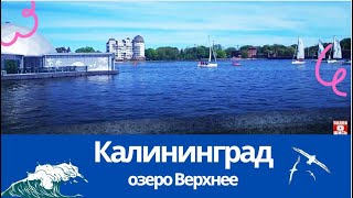 Пусть для вас каждый день будет, словно праздник-Калининград