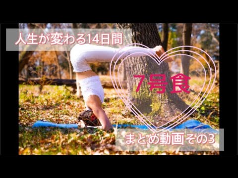 【７号食】まとめ動画　その３　７号食をはじめる前の準備　これからについて　私の体重遍歴