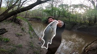 Fishing a LOADED CREEK After a FLOOD!