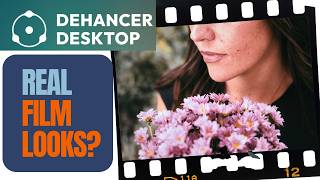 Dehancer Desktop: The Film Look vs. The Cost