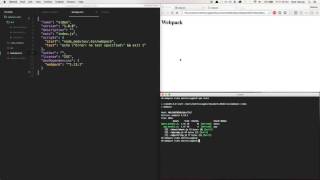 Webpack Config Basics - 4. Using NPM scripts
