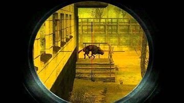 Pseudodog? Pseudoderp....