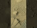 Mars Rover in a New Light 4K-PP11  Mars Sol 910 VD12 #nasa #mars  #perseverance