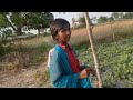 icse sir in village | #icse