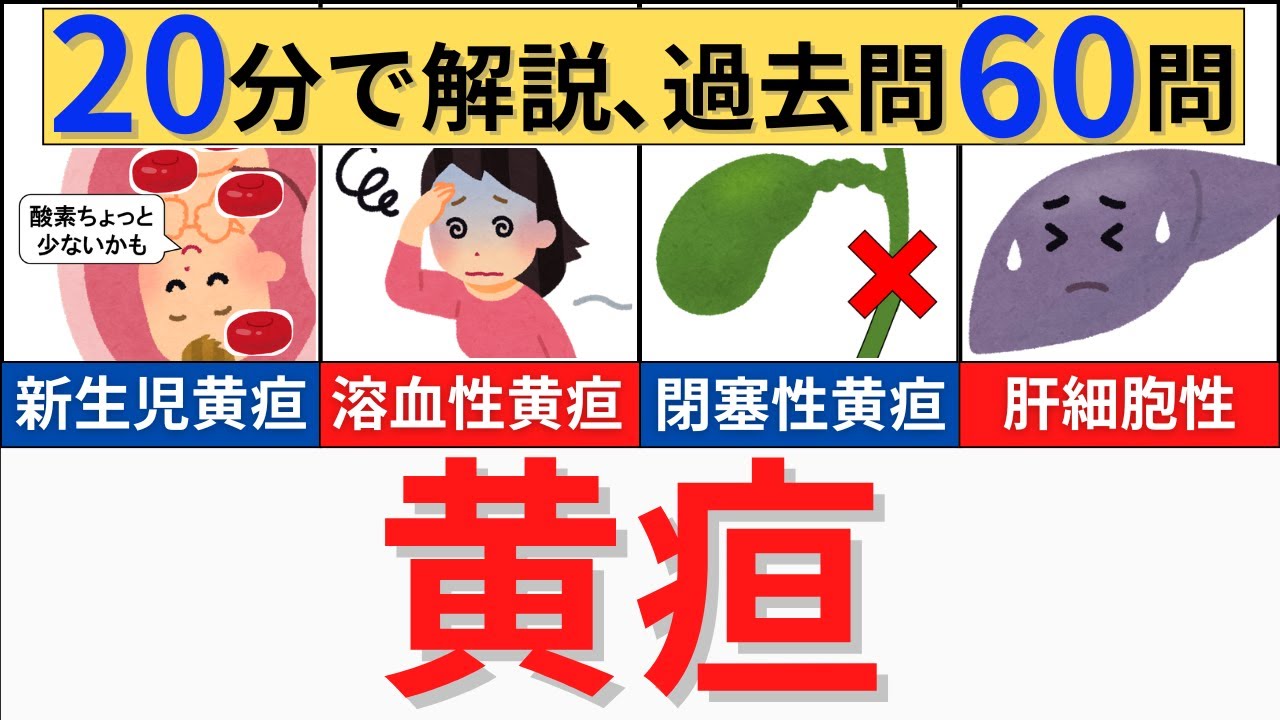 【20分で解説、国試問題60問😲】黄疸について解説！肝胆膵の理解に必須です！