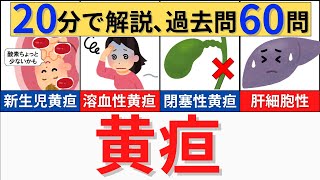 【20分で解説、国試問題60問😲】黄疸について解説！肝胆膵の理解に必須です！