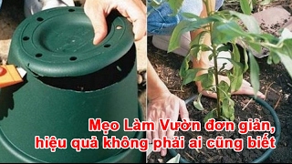 Mẹo Làm Vườn đơn giản, hiệu quả không phải ai cũng biết