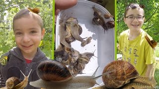 VLOG - On va à la Chasse aux Escargots !