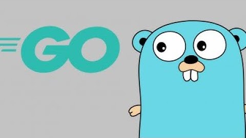 Go Lang Port Scanner Host