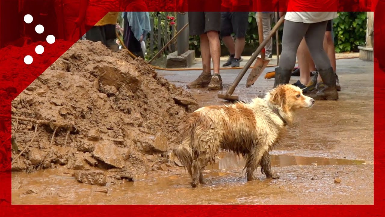 Maltempo, nubifragio stazionario colpisce Sezze (Latina): esonda il torrente, si spala il fango