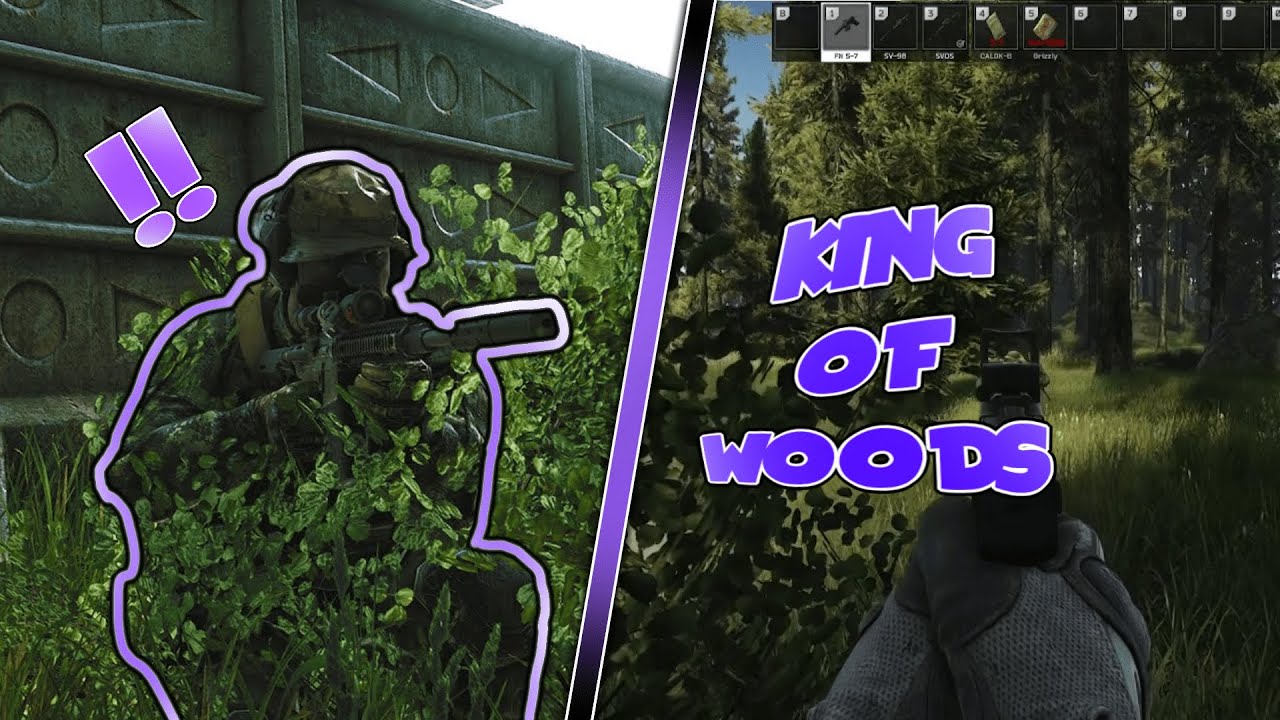 Woods is a good map I promise. Here's why... (Twitch Highlight #1) A Tarkov Story