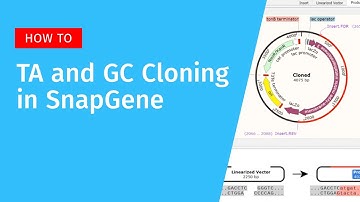 TA and GC Cloning with SnapGene