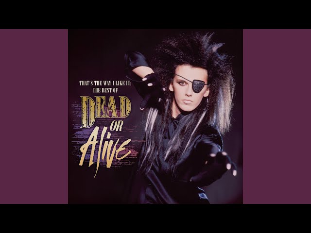 Dead Or Alive - You Spin Me Round (Like a Record) -  Music