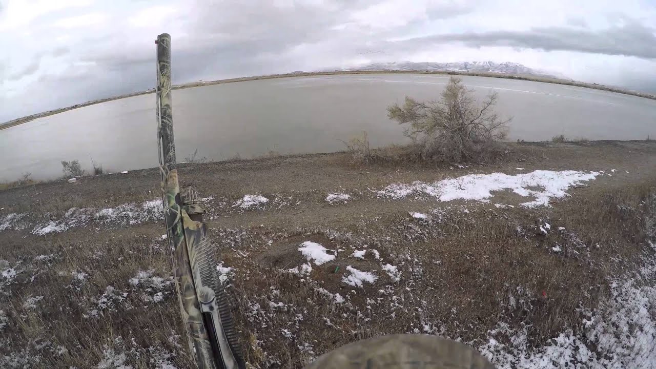 Utah Duck Hunting 2014 2015 YouTube utah-duck-hunting-2014-2015-youtube