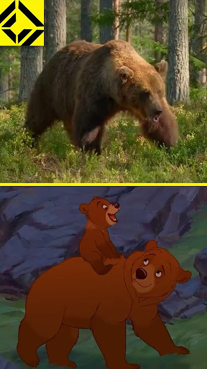 How Disney Animates a Bear