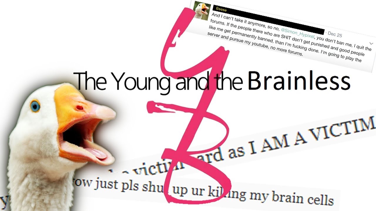 One of Hypixel's MOST TOXIC Players?! - Reading Mean Comments: The Young and the Brainless