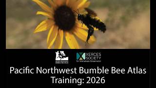 2026 Pacific Northwest Bumble Bee Atlas Training Workshop