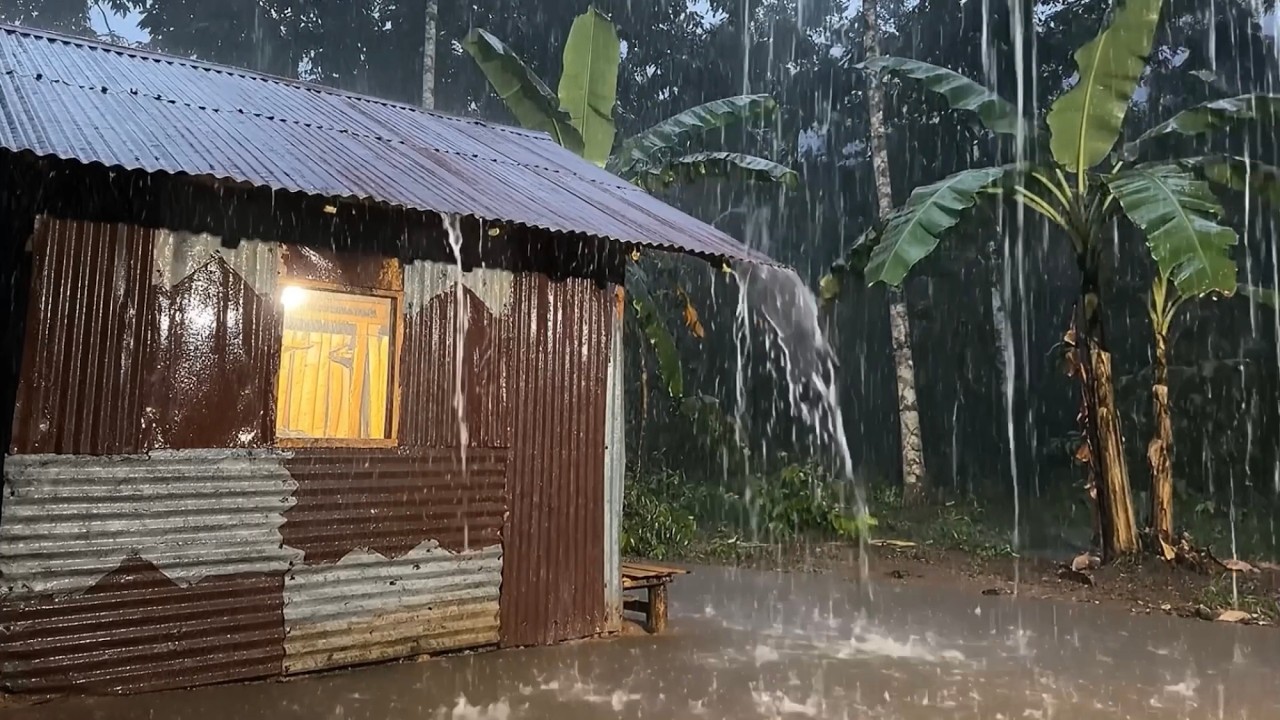 Relaxing Rain Sounds on Metal Roof & Thunderstorm for Deep Sleep