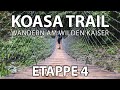 Wandern in Tirol - Koasa Trail // Erpfendorf - St. Johann (Etappe 4)