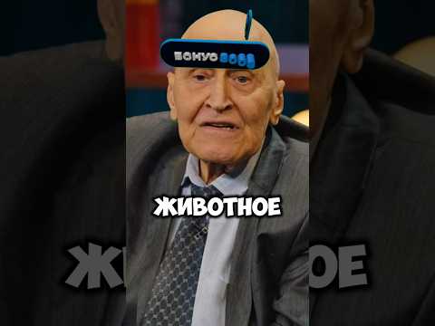 Шоу КСТАТИ #71 Зебра сильная ? Ответ Дроздова. Харламов, Мусагалиев, Дорох #shorts #юмор #youtube